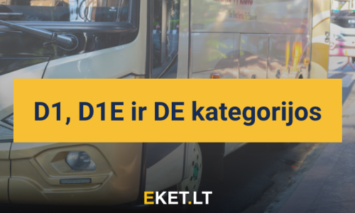 D kategorija